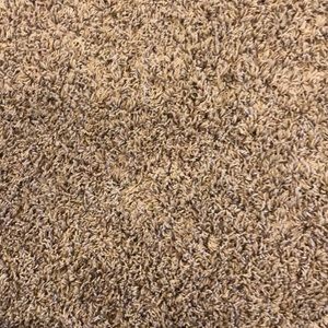 Meet your Posher, Melda